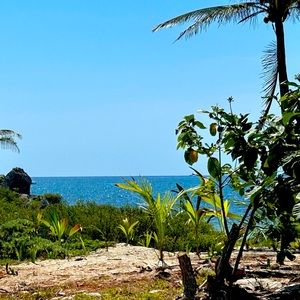 Just a mama who loves to shop